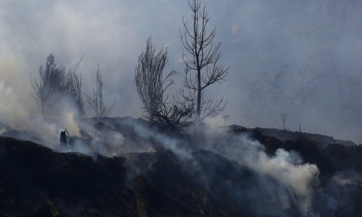 SNA: Preocupada ante la Ley de Incendios y su afectación al derecho de propiedad