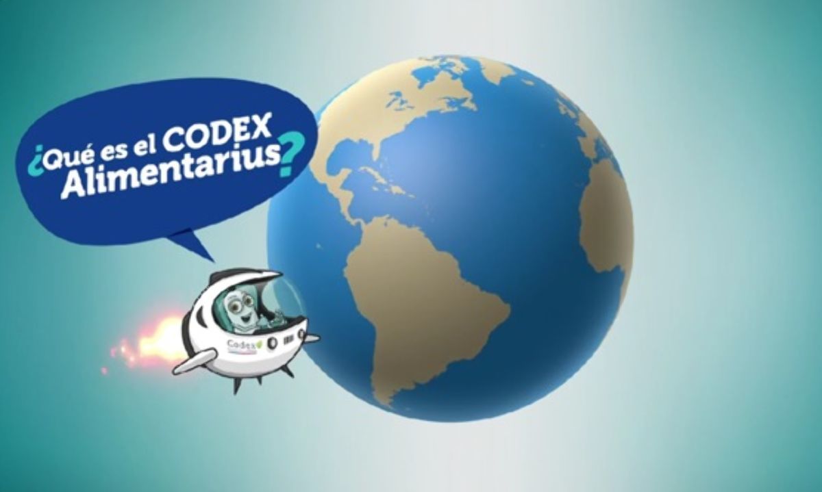 Video: ¿Qué es el Codex Alimentarius?