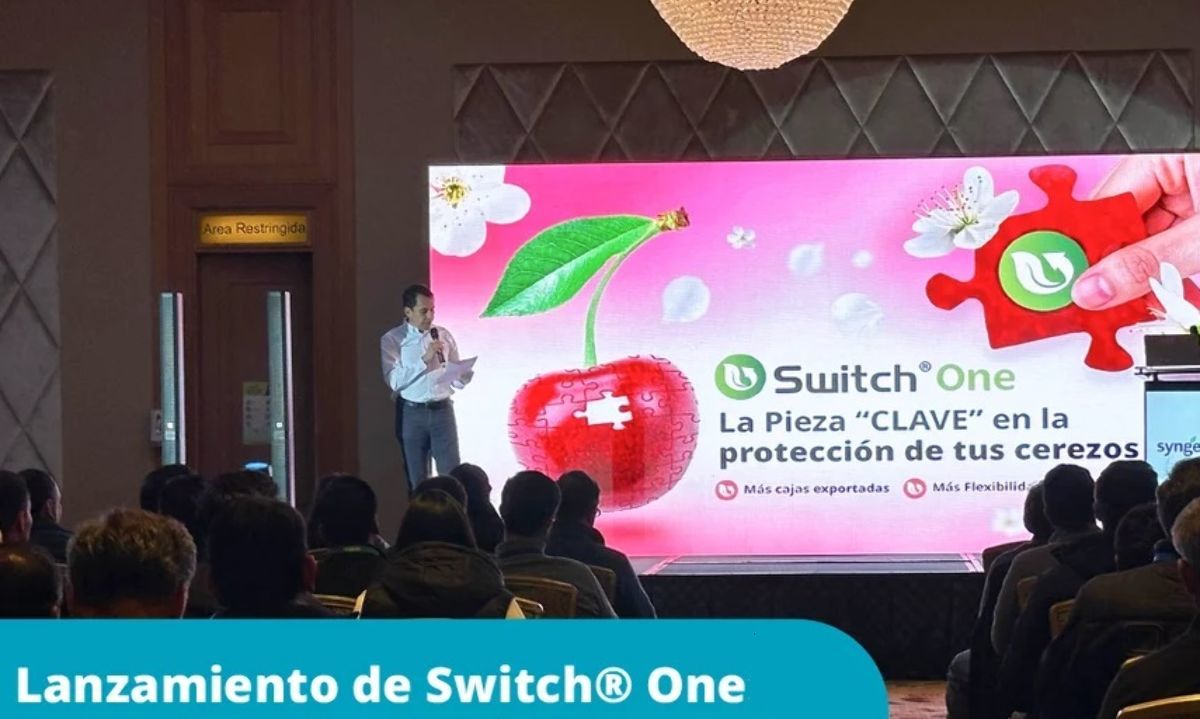 Lanzamiento de fungicida Switch® One para cerezos