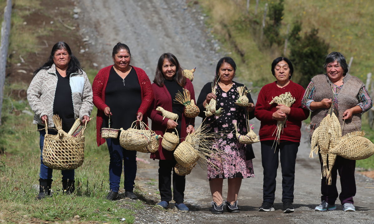 Las diversidad de las agricultoras de la Región de Los Lagos estará en Expo Mundo Rural 