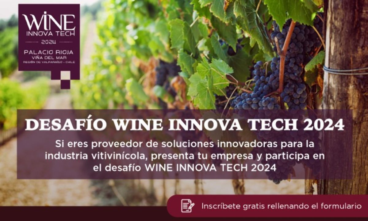 Concurso desafío de startups en Wine Innova Tech 2024