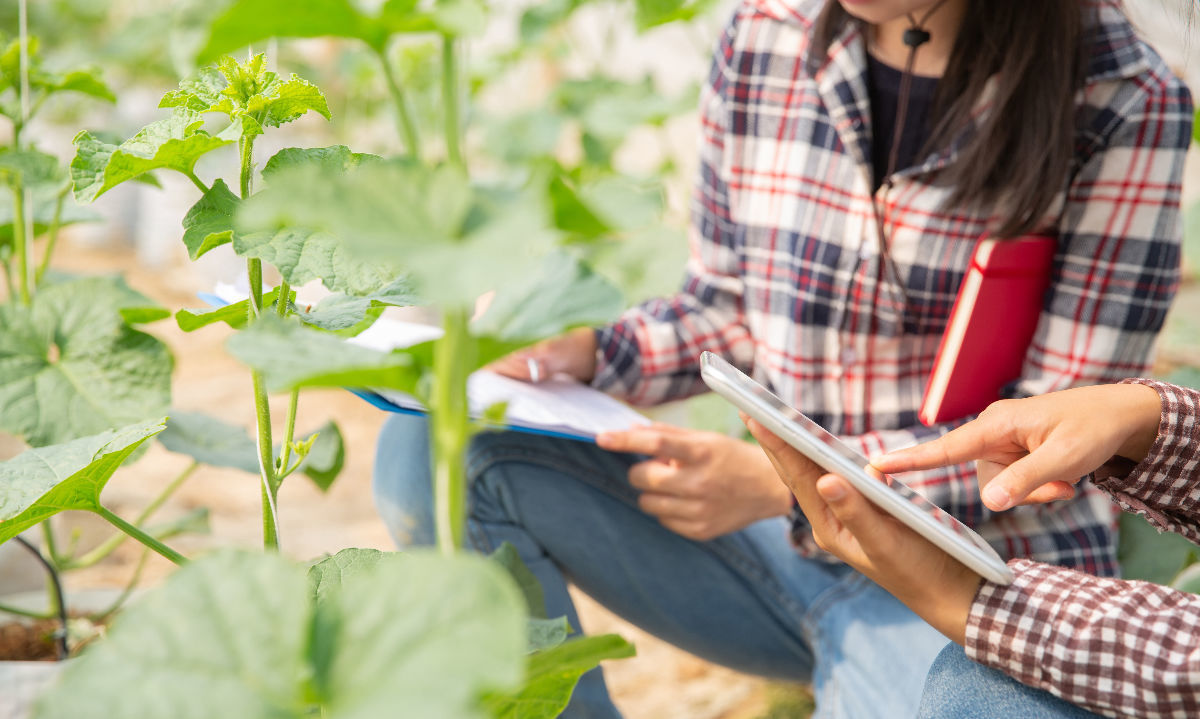 IICA lanza cinco becas para cursar máster Digital Agri en España