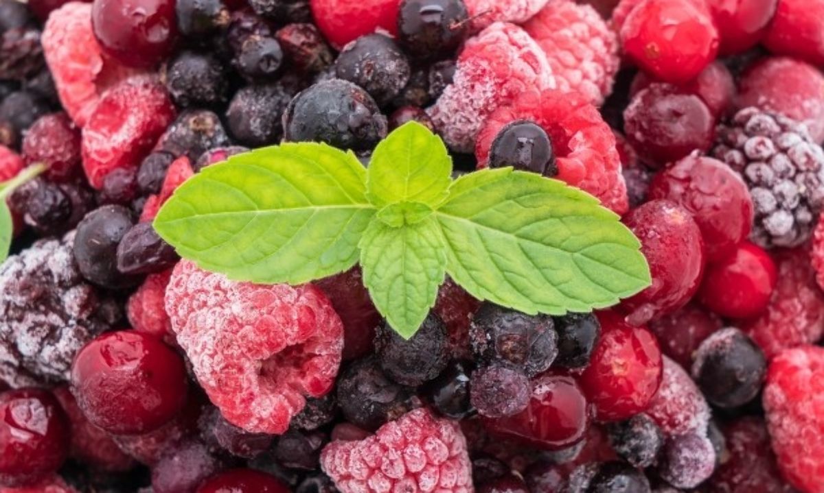 La Araucanía: Importancias de las berries en la agricultura regional