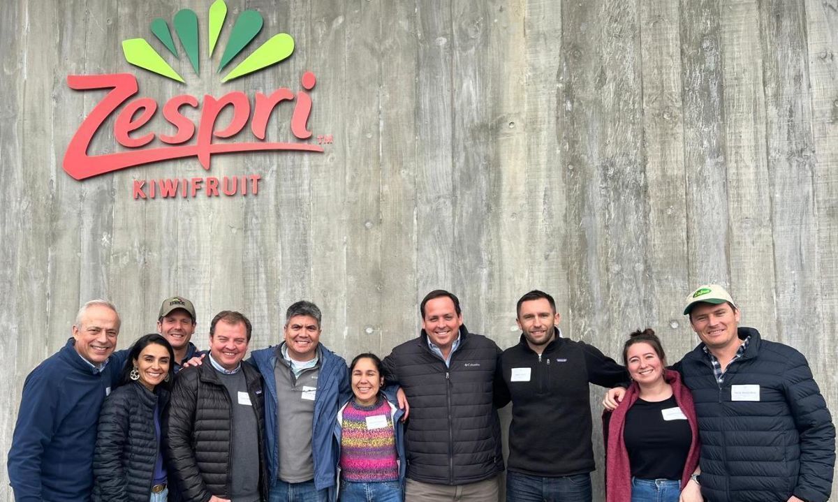 Productores chilenos del Comité del Kiwi visitan cultivos de Zespri en Nueva Zelanda