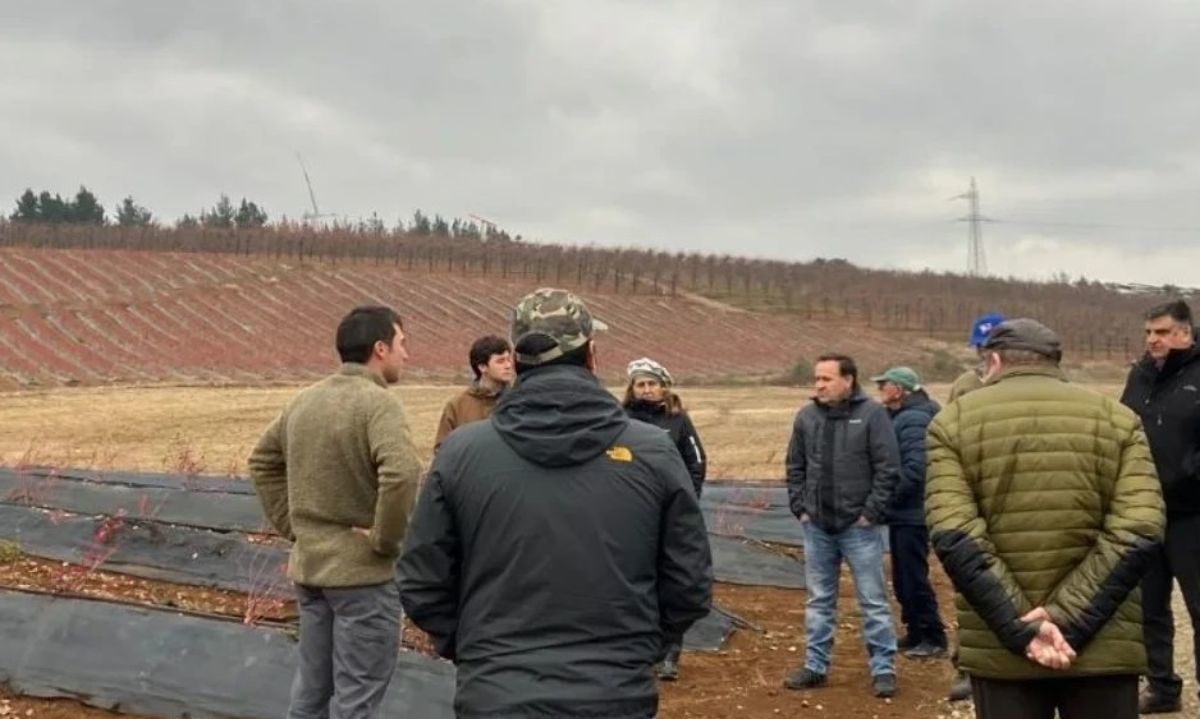 Collipulli: Manejo de huertos y recambio de variedades en arándanos y cerezas