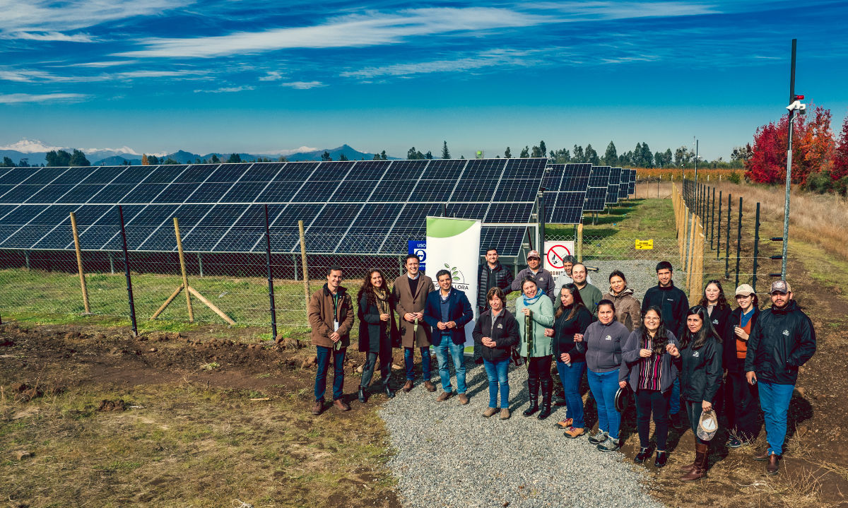 Agromillora Sur instala planta fotovoltaica y cubrirá el 40% de su consumo eléctrico