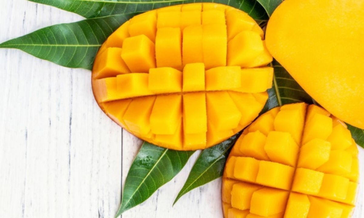 Productores de mango a prepararse, EEUU quiere mangos las 52 semanas del año