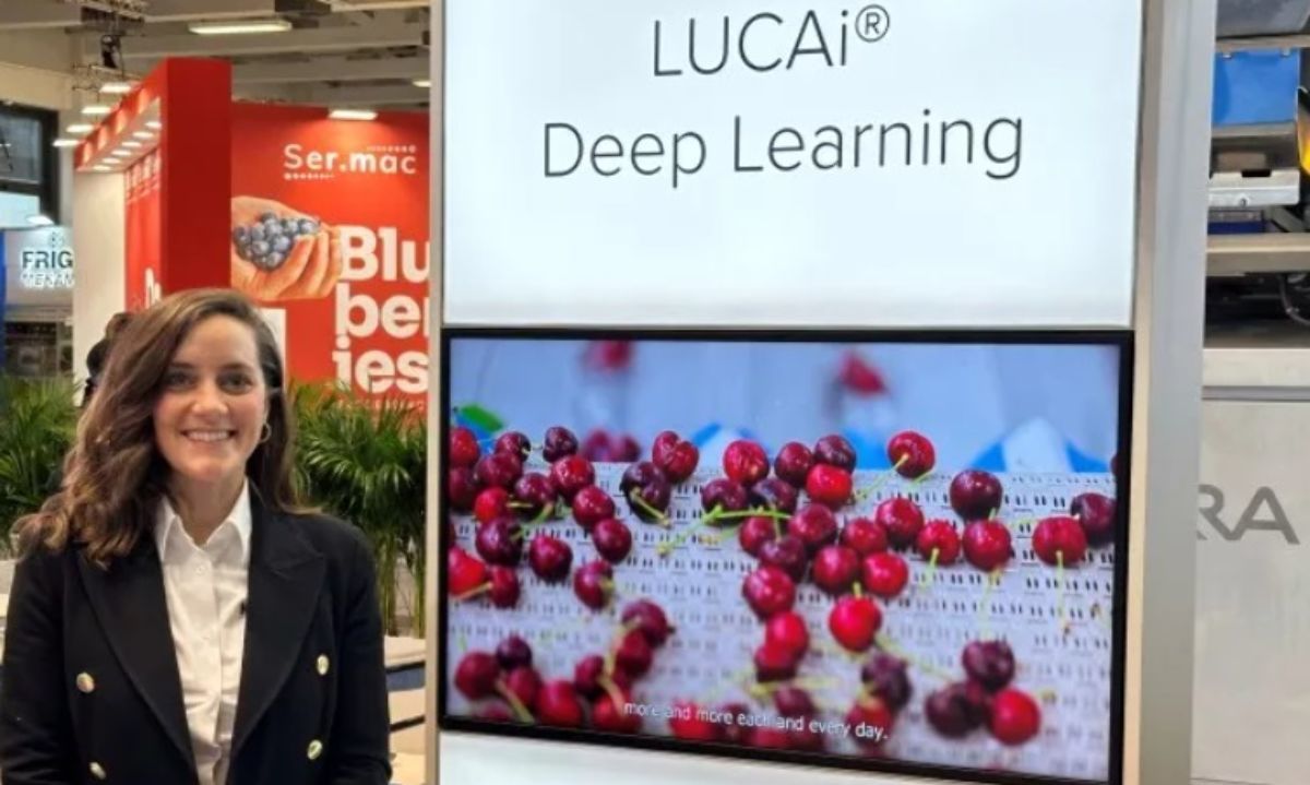 Envasado de cerezas: La tecnología de aprendizaje profundo LUCAi de TOMRA