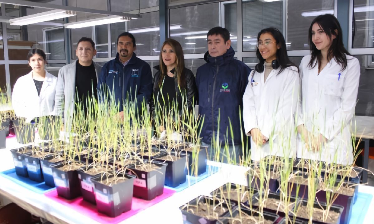 Mujer agroinnovadora y su contribución al estudio de plantas resistentes a la sequía