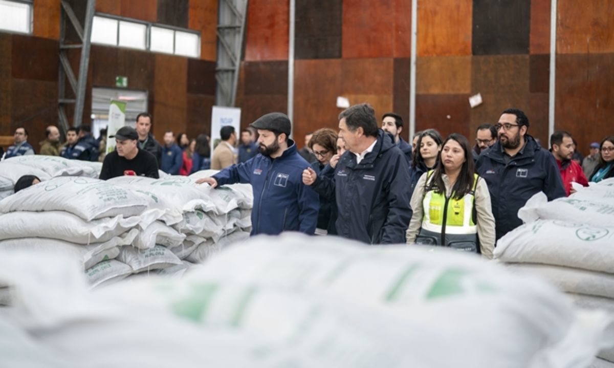 Comienza la entrega de ayudas en Arauco para agricultores afectados por lluvias