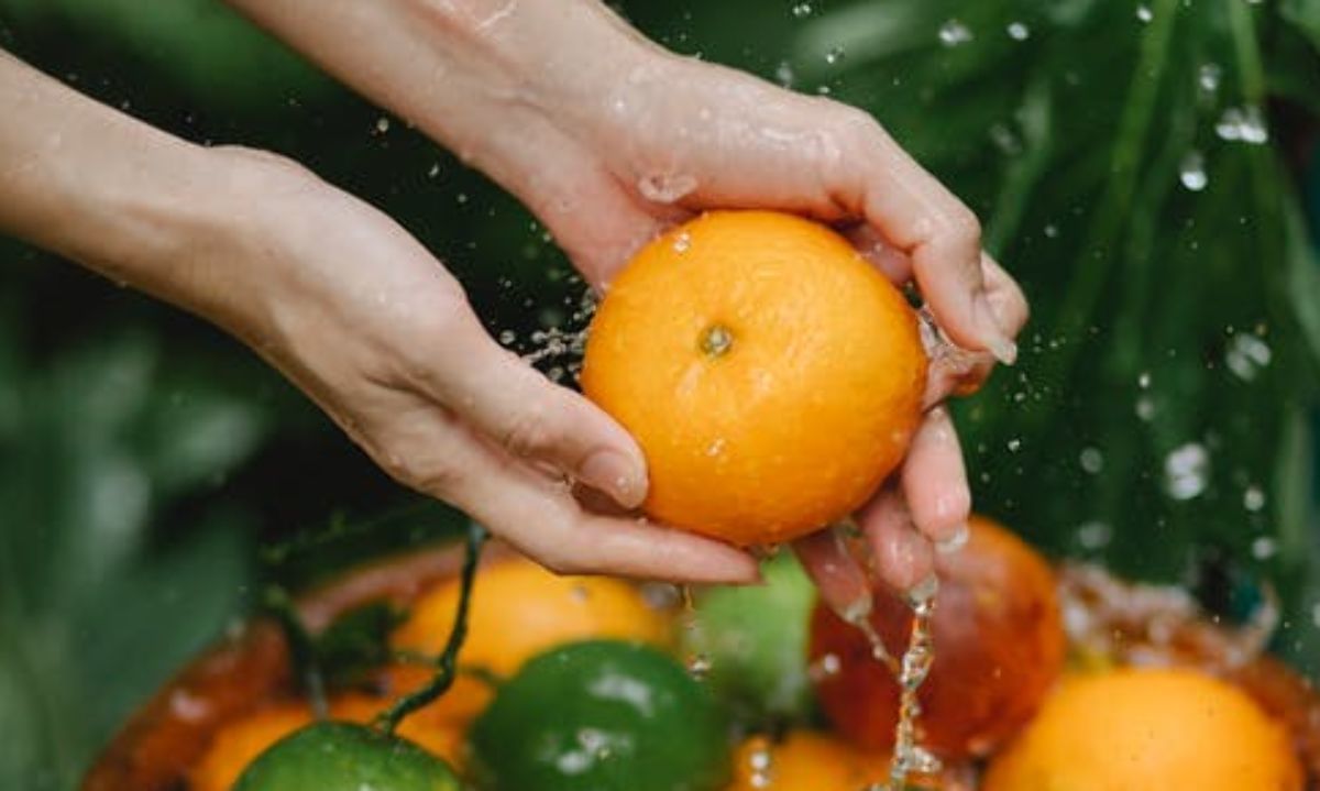 USDA: Conoce las estimaciones de los limones, naranjas y mandarinas chilenas