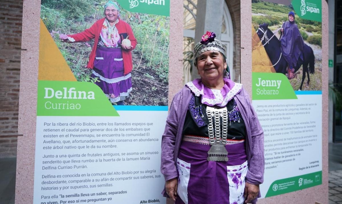 Chile ya postula al reconocimiento de sitios "Patrimonio agrícola y prácticas tradicionales" de la FAO