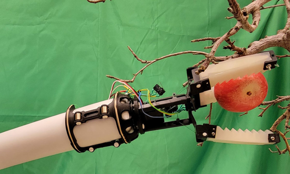 Crean una pinza robótica para la recolección automática de manzanas