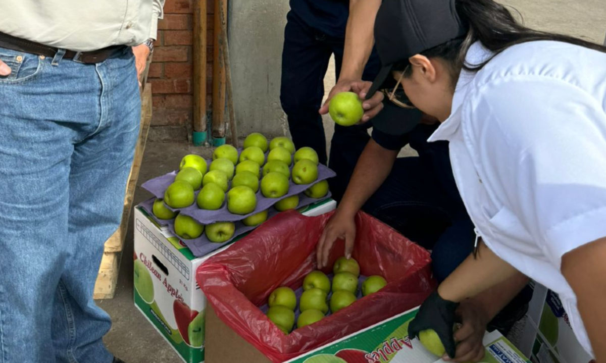Programa Exporta Más: Empresa frutícola llegó a mercados de Brasil y Colombia