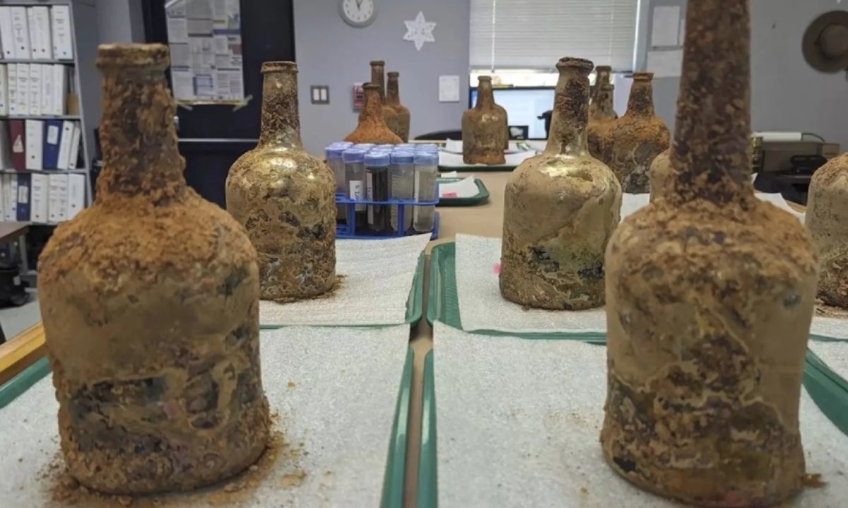 Arqueólogos descubren cerezas del siglo XVIII en el fundo de George Washington