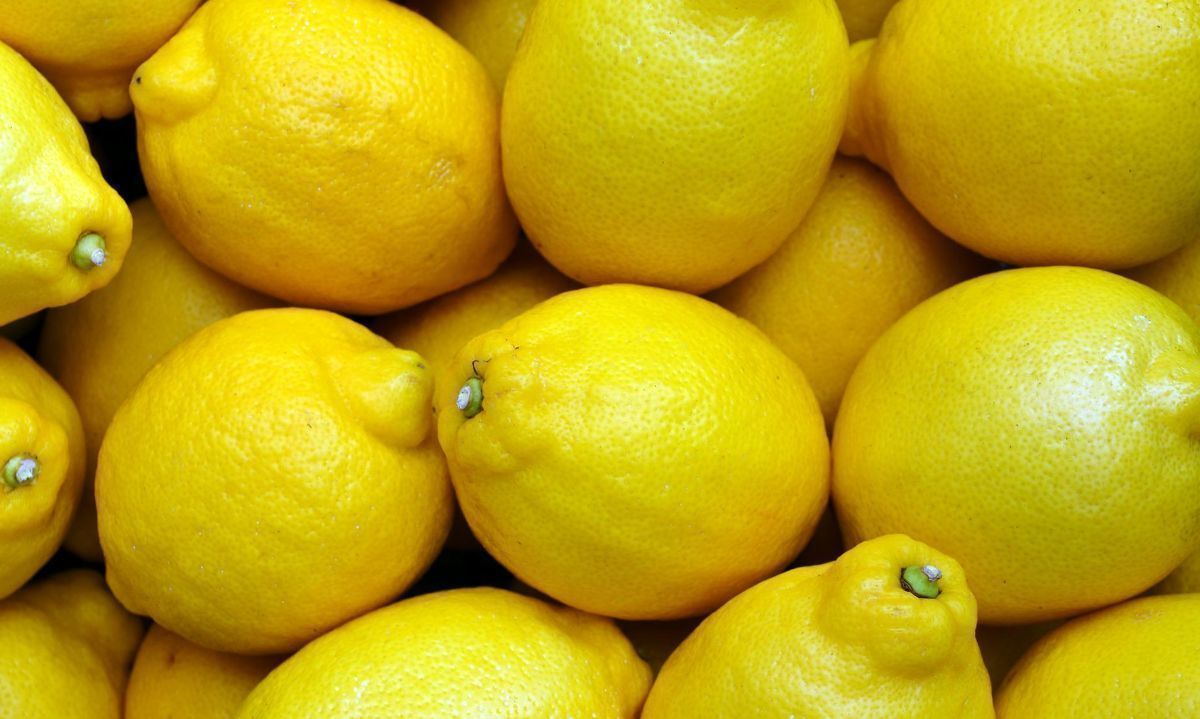 La baja en limones ayudó a bajar un "poquito" la inflación chilena 