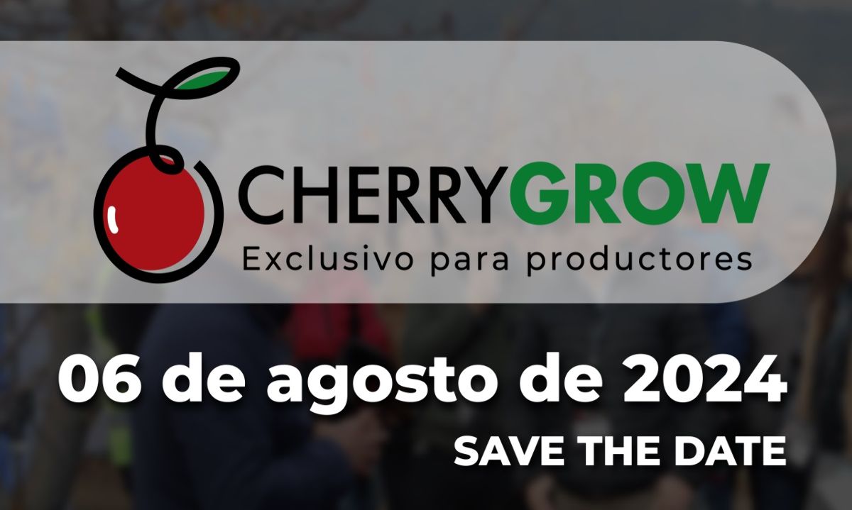 Curicó : Seminario técnico Cherry Grow 2024
