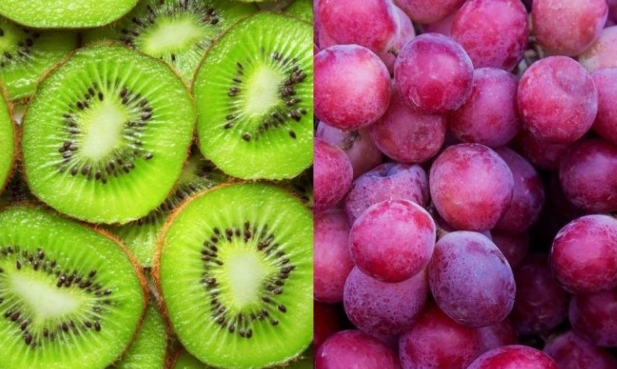Fruteros chilenos se la juegan ahora por Systems Approach para envíos de uvas y kiwis a México 