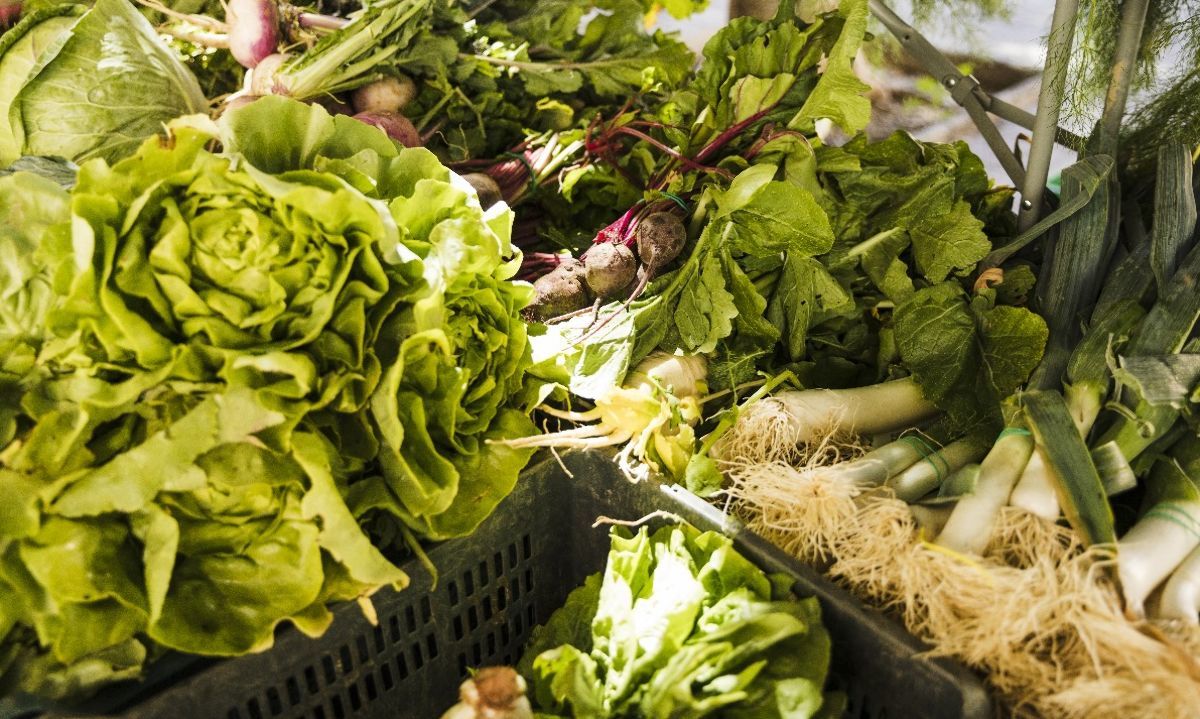 Ante alzas en verduras y hortalizas: expertos sugieren diversificar y consumir productos de temporada 