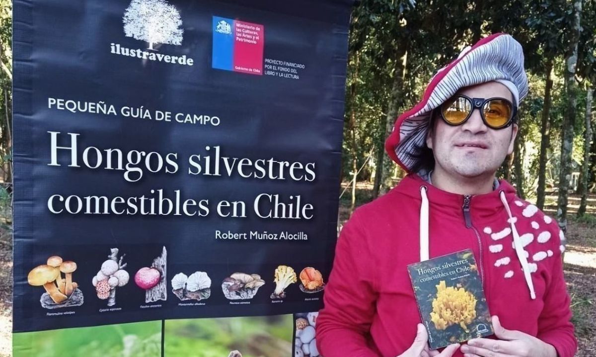 Lanzarán guía sobre hongos comestibles chilenos
