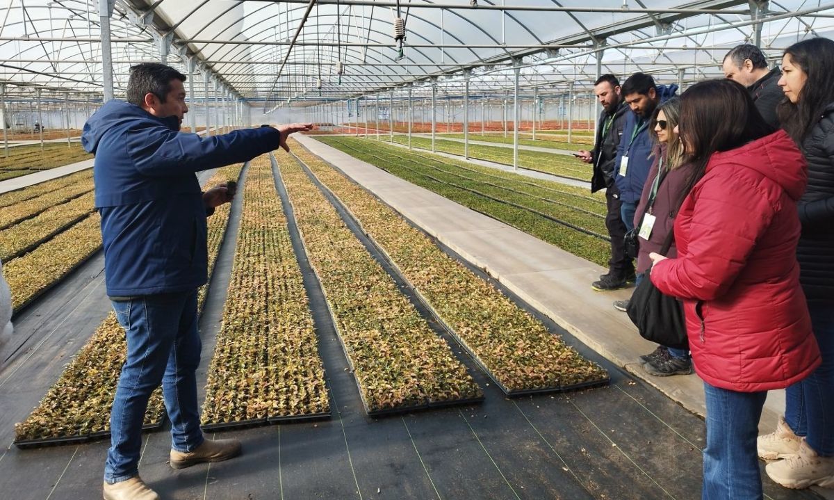 Estudiantes de agronomía de la UVM visitan cultivos de Agromillora 