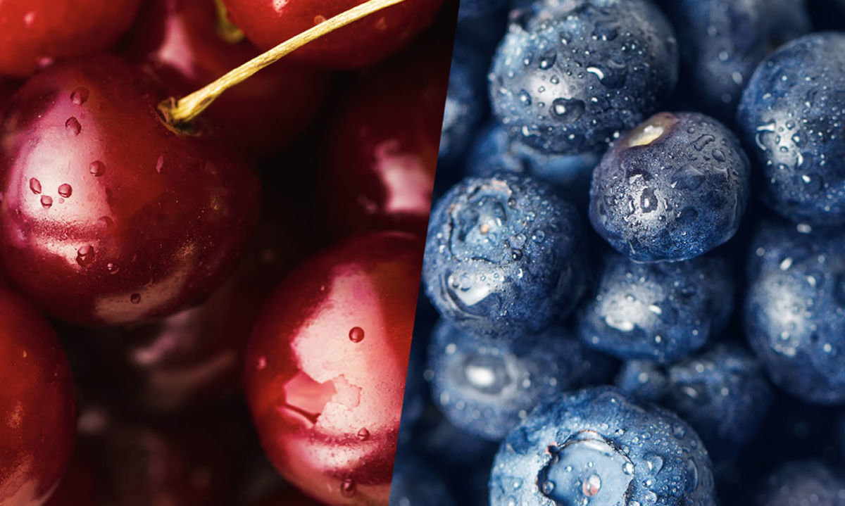 Chile: Récords de exportaciones de frutas frescas en el primer semestre