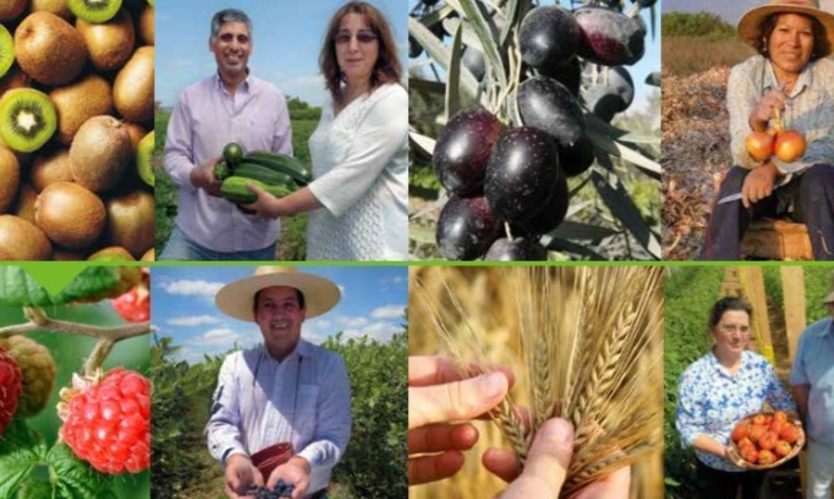 Los Ríos: Se constituye mesa técnica  Agroseguros 