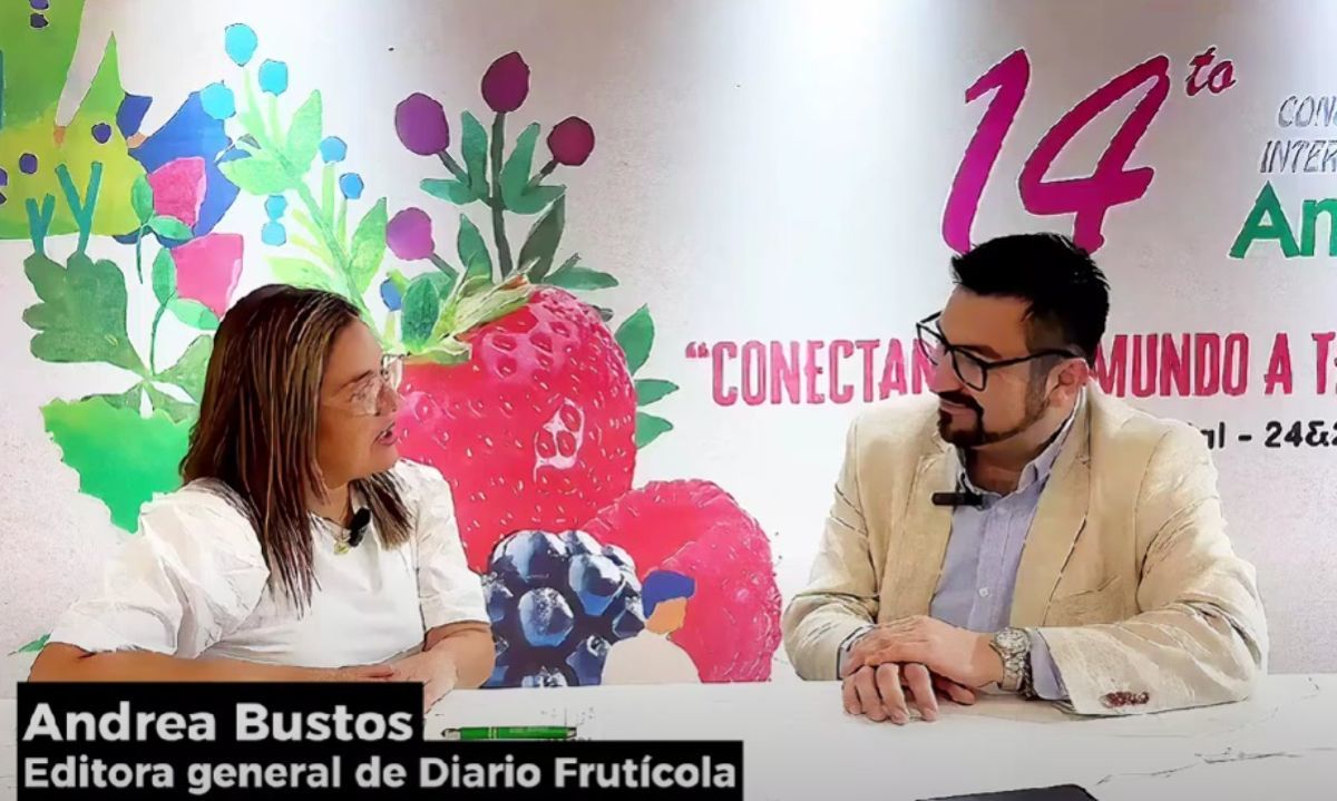 Video-Entrevista: Pablo Cortés de Agronometrics entrega datos de la producción arandanera