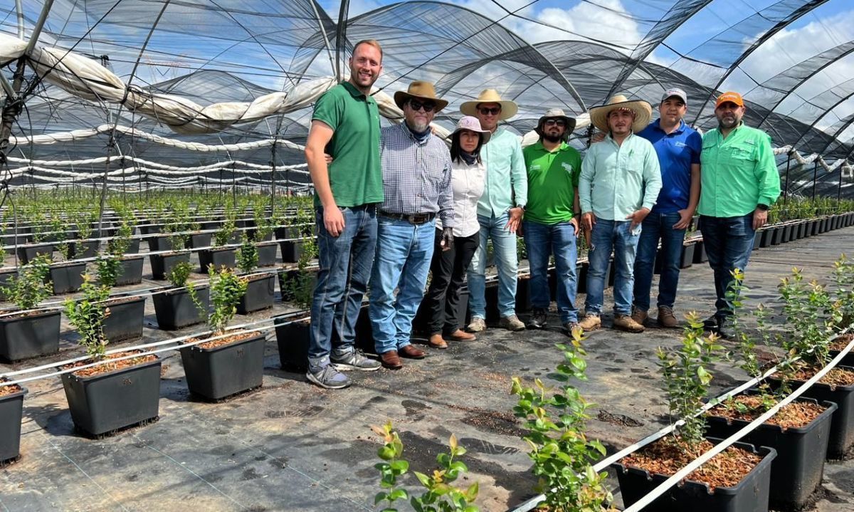 México inicia proyecto pionero: Medición de curvas de absorción de nutrientes en berries