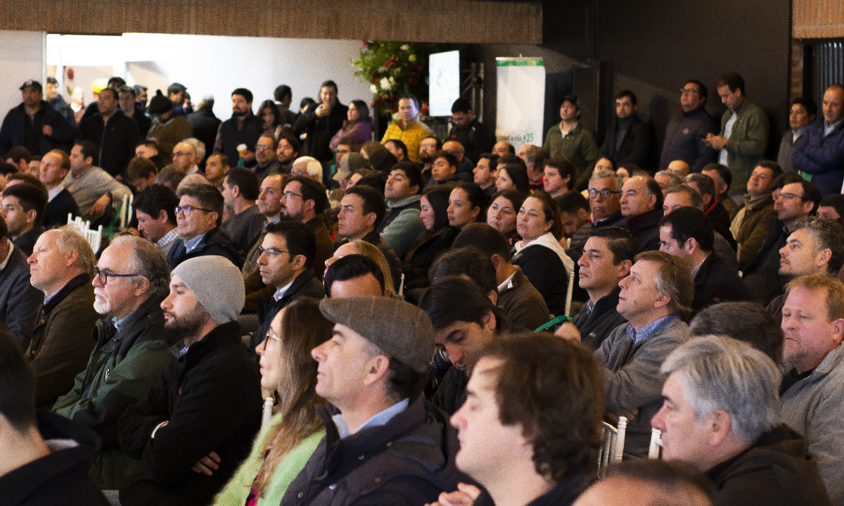 Generando un punto de encuentro: Industria frutícola se une en Cherry & Kiwi Conference