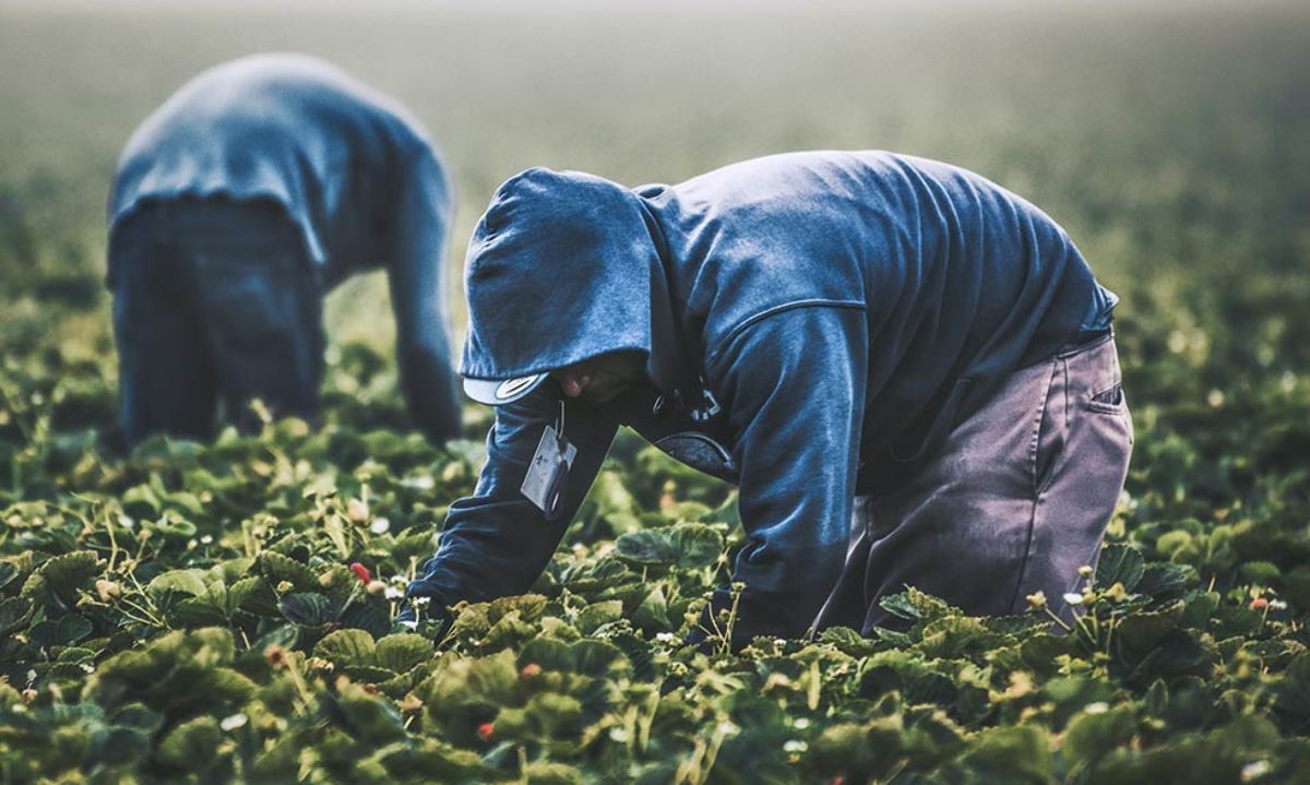 Afipa e Indap firman convenio para implementar prácticas agrícolas sostenible