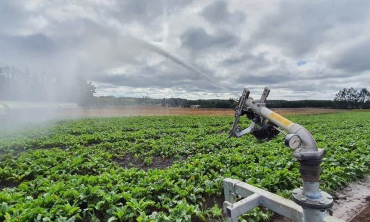 Corfo ofrece 240 becas para especialización en gestión sostenible del agua