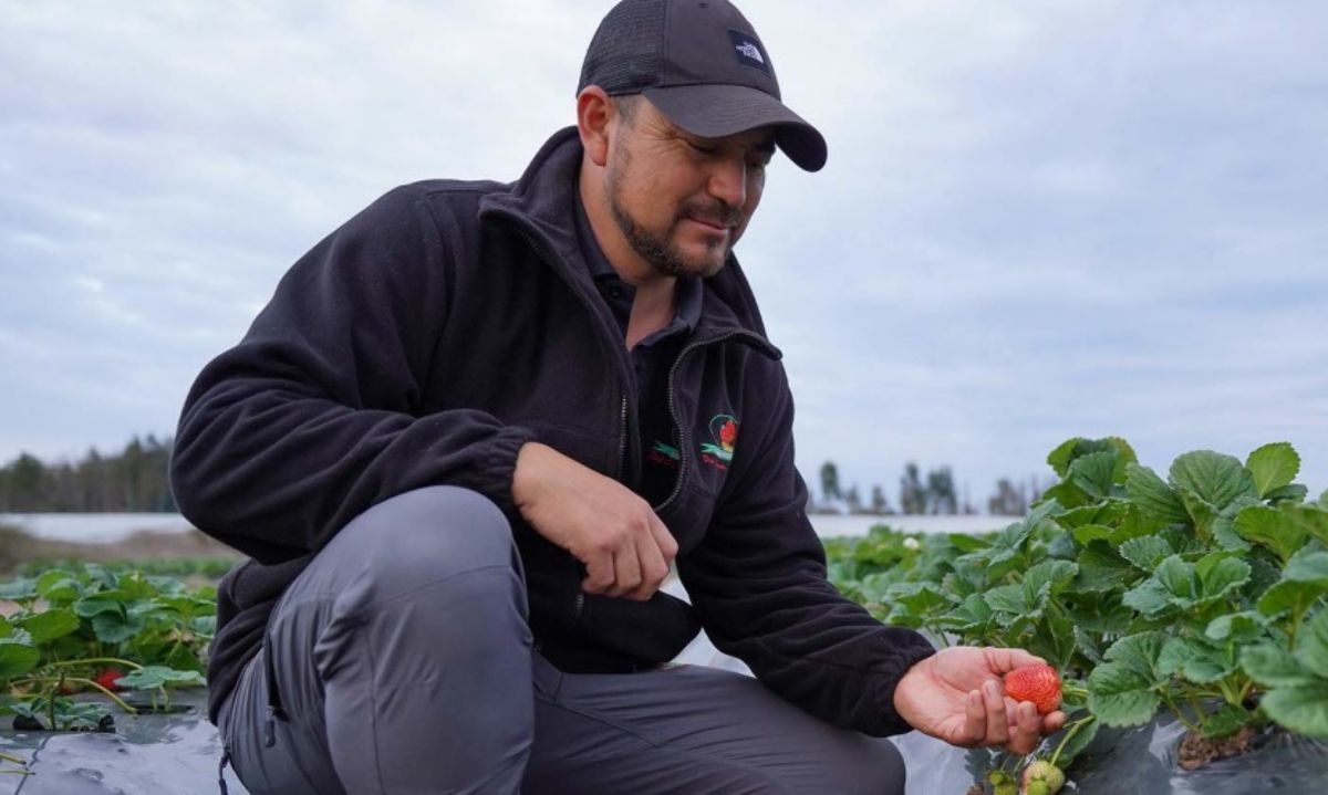 Plazas de trabajo para los profesionales del agro