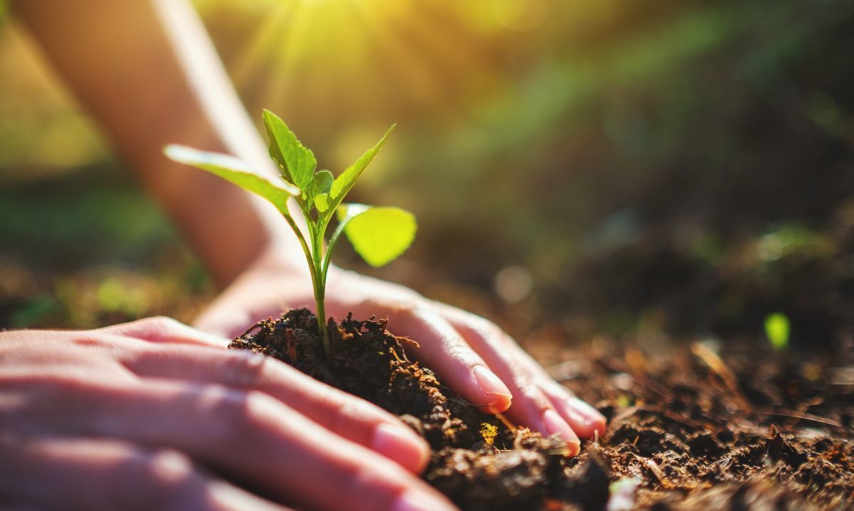 Profesionales del agro se capacitan en metodologías de vanguardia en sustentabilidad