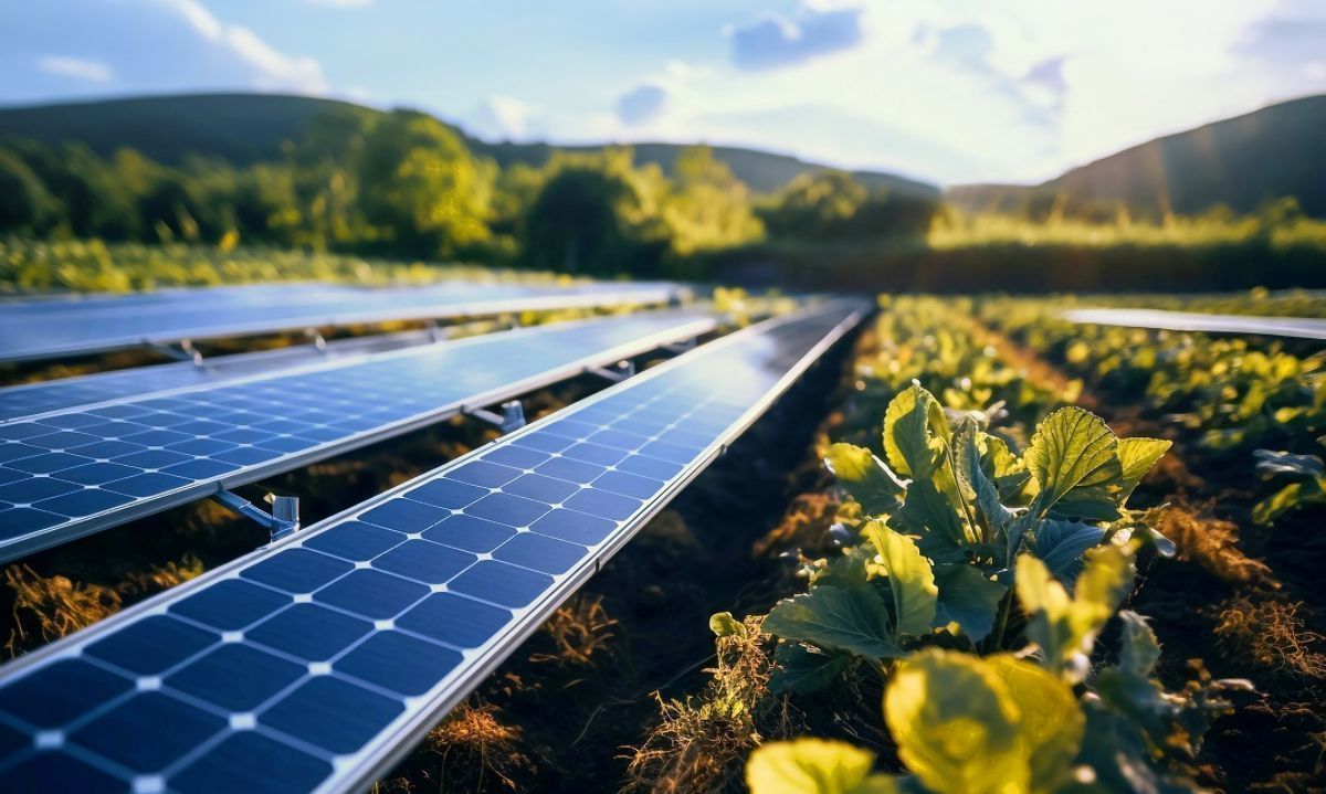 Expo Chile Agrícola enfatizará en las energías limpias en el agro