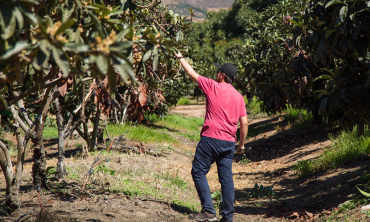 El agro se mueve... hay trabajo para ti