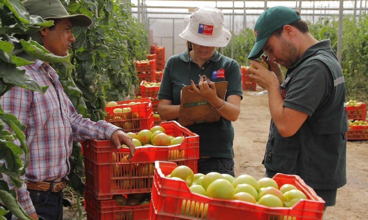 SAG supera las 50.000 fiscalizaciones en 2023 para resguardar fitosanidad y comercio silvoagropecuario