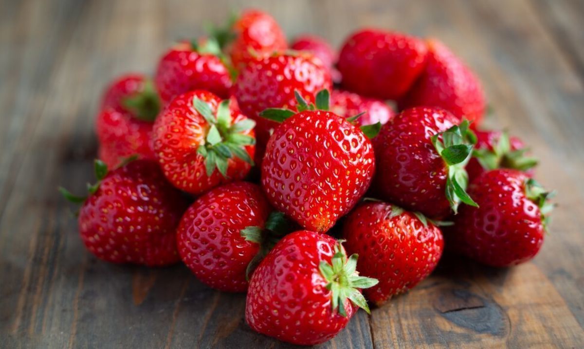 Conocer, elegir y adaptarse: Claves para el éxito en cultivo de frutillas