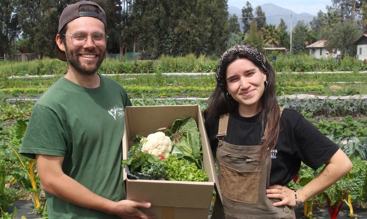 De Huerta a la Raíz: Se conocieron en Australia y ahora en Chile producen hortalizas agroecológicas