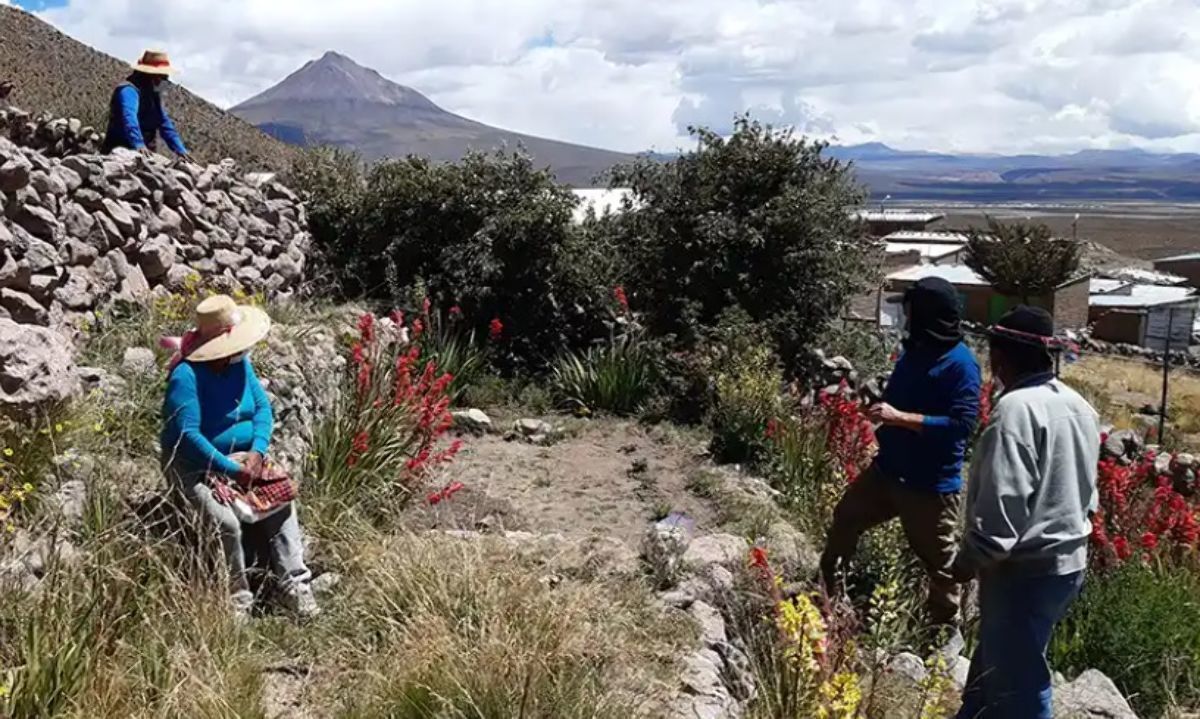 Reconocimiento SIPAM/FAO: Entregan expedientes para postular a dos sistemas agrícolas patrimoniales chilenos 