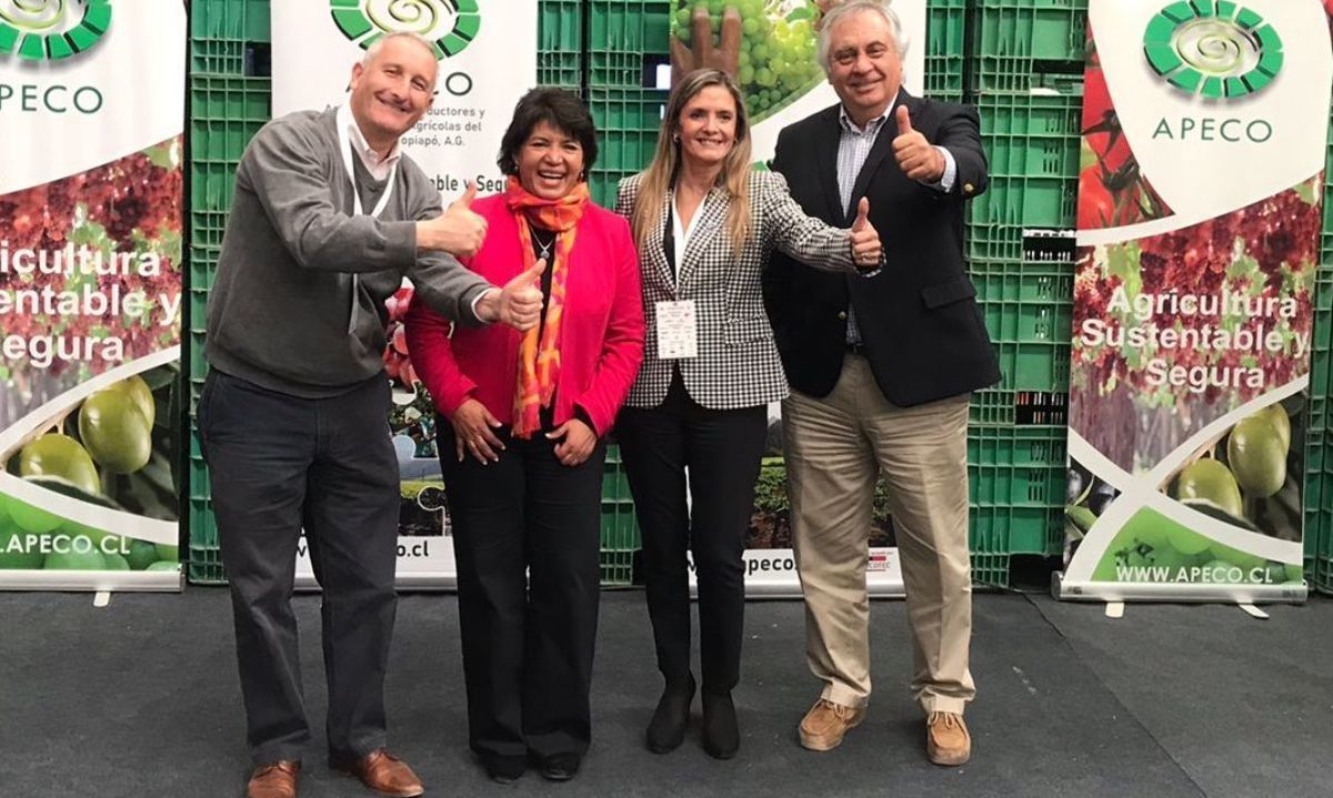 Pdte. de Fedefruta: Para sacar adelante a la uva de mesa en Atacama hay que trabajar unidos