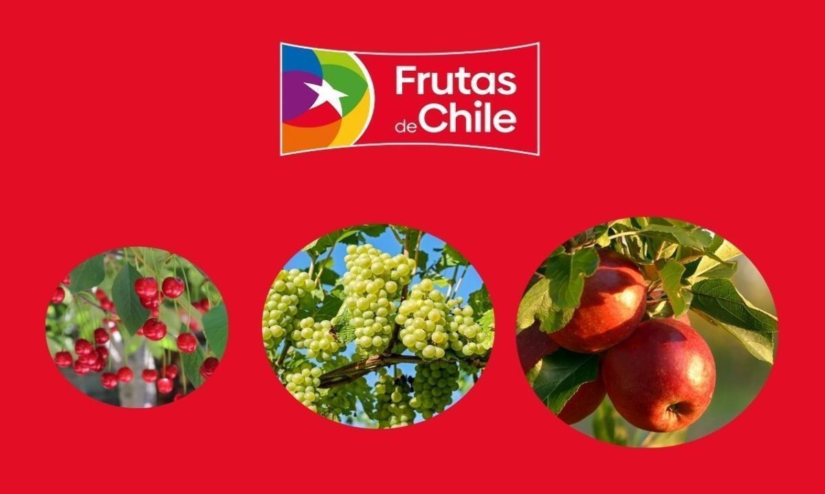 Lo que se viene para 2024 - 2025 en la fruticultura chilena