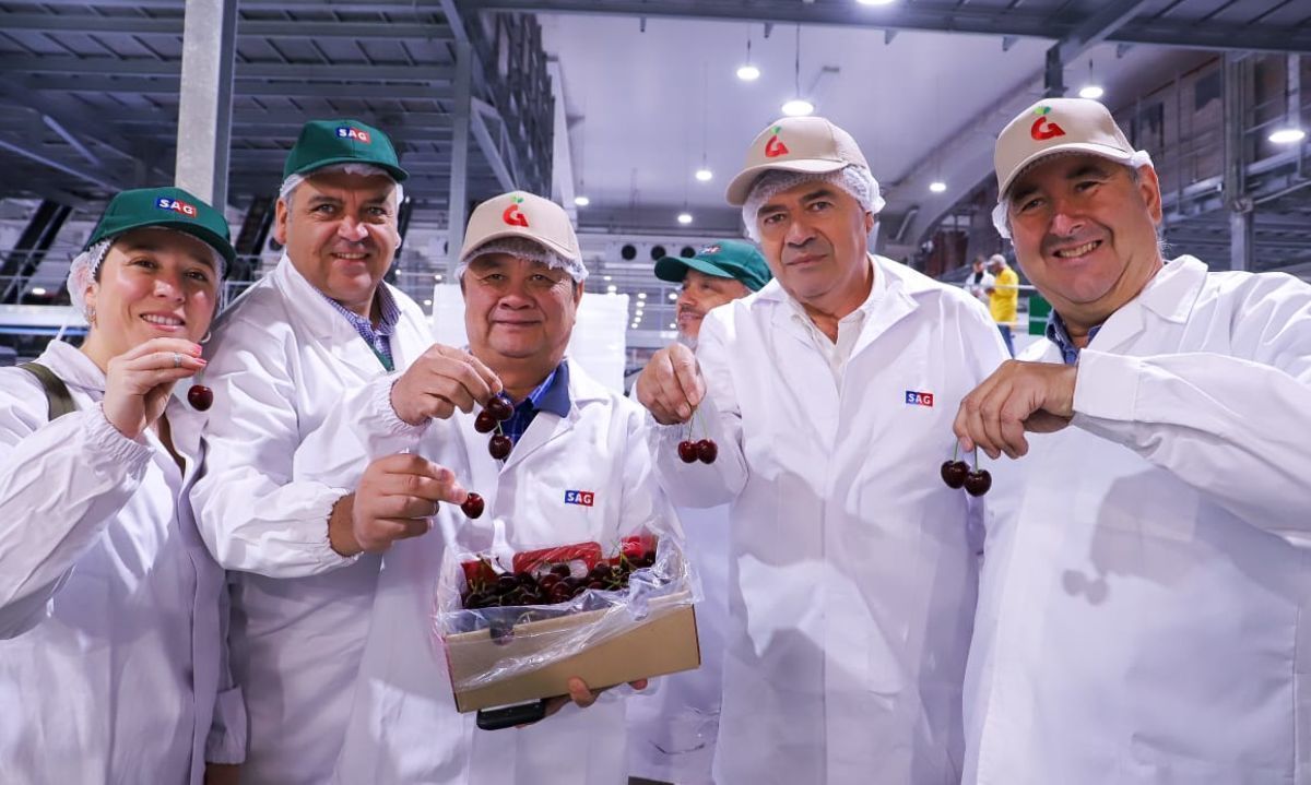 Delegación vietnamita vista desarrollo del proceso de exportación de fruta chilena