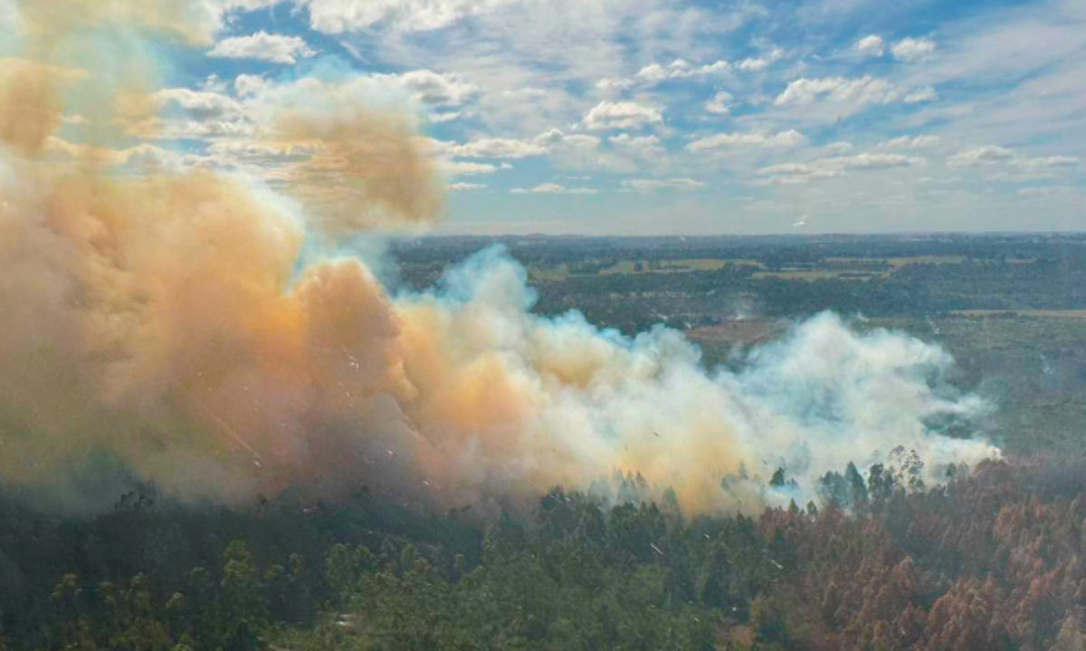 Ante ola de incendos: 90 comunas de Chile bajo alerta “botón rojo”