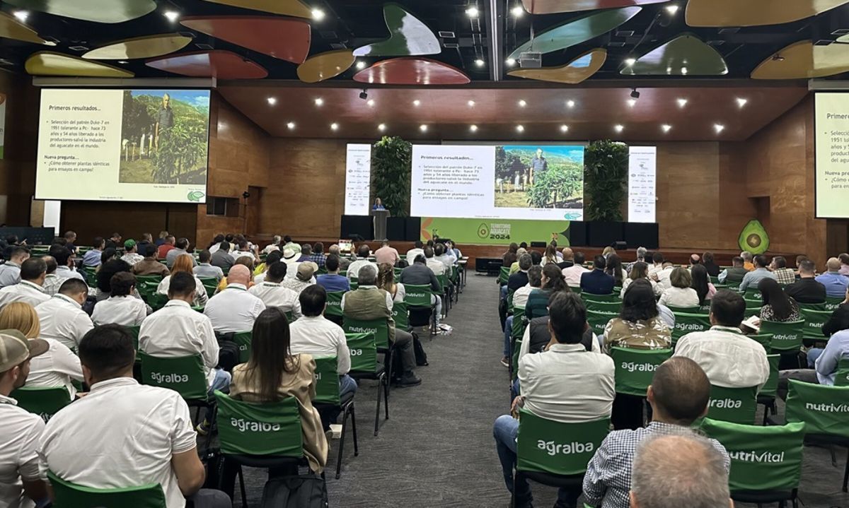 Imágenes de la clausura de Territorio Aguacate, próxima fecha 24 y 25 de septiembre 2025