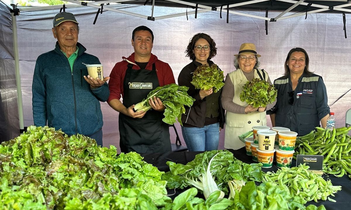 Inauguran tres nuevos Mercados Campesinos: Tucapel, Negrete y Mulchén