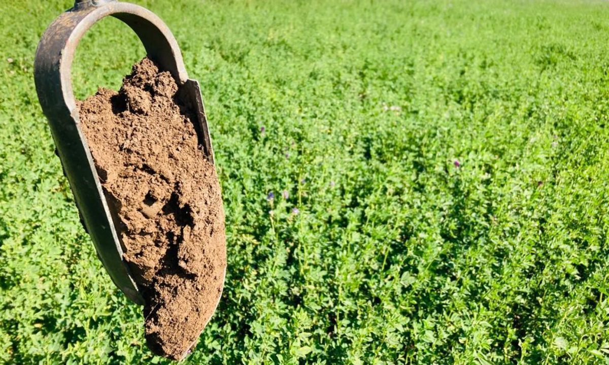 Residuos plásticos al fragmentarse, generan microplásticos que contaminan el suelo