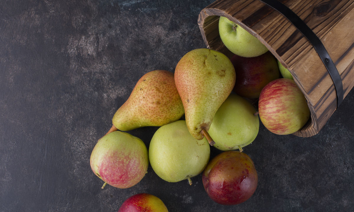 Conoce el pronóstico anual de cosechas para el hemisferio sur de la Asoc. Mundial de la Manzana y la Pera