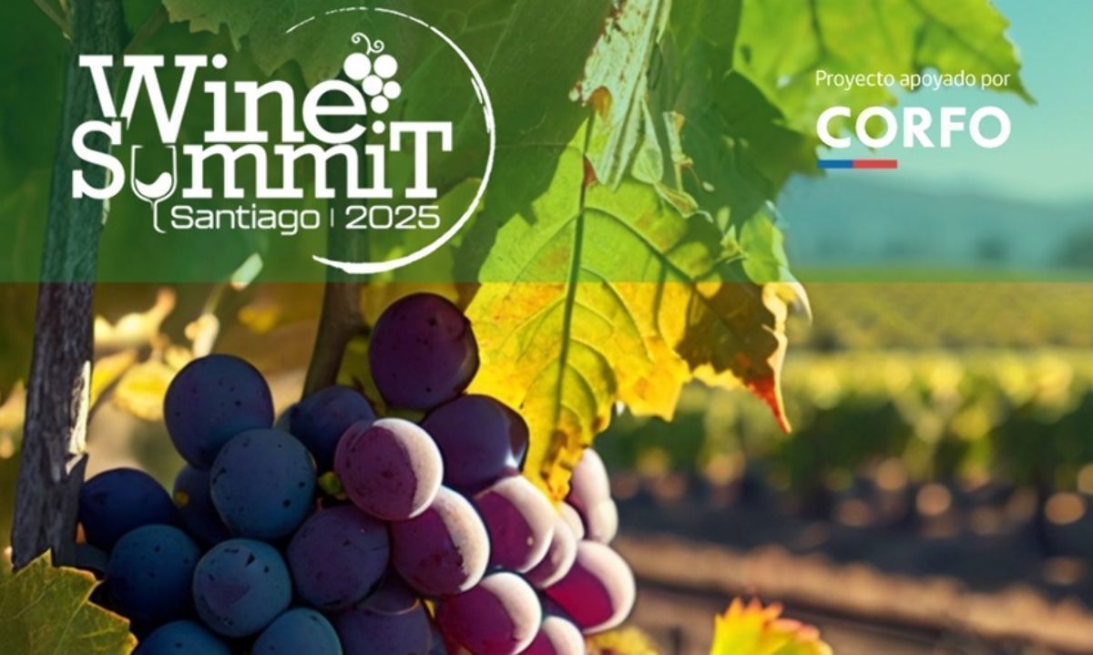 Viticultura innovadora y resiliente: Pronto Wine Summit 2025 